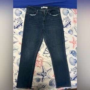 Signature by Levi Strauss Dark Blue Straight Leg Jeans